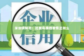 深圳侦探社：比翼鸟挽回爱情正规么