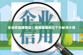 深圳市婚姻取证：挽回婚姻的三个小秘诀小说