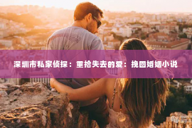 深圳市私家侦探：重拾失去的爱：挽回婚姻小说